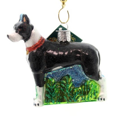 Old World Christmas Great Dane Apollo Of Dogs Best Friend  -  Tree Ornaments