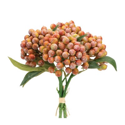 Melrose Orange Berry Bundle (Set of 2)