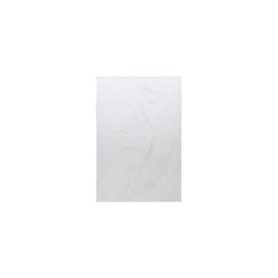 Yosemite Home Decor Neutrality II Wall Art