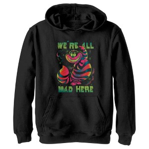 Boy's Alice in Wonderland Rainbow Cheshire Pull Over Hoodie - 1 of 4