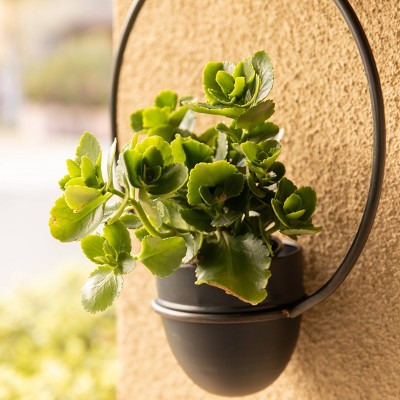 Black Iron 2-Piece Rustic Hanging Planter Set