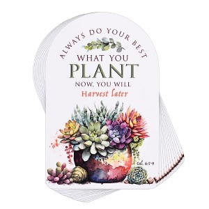 Dicksons Inspirational Bible Verse Pocket Card Bookmark for Books and Novels 2.5 x 4 Cardstock We Have This Hope - Pack of 12 - 1 of 1