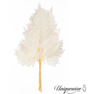 Uniquewise Preserved Real Floral Stems Chic Vase Fillers & Accents for Bouquets Centerpieces - 1 of 4
