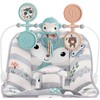 ​Fisher-Price Baby Bouncer - image 4 of 4