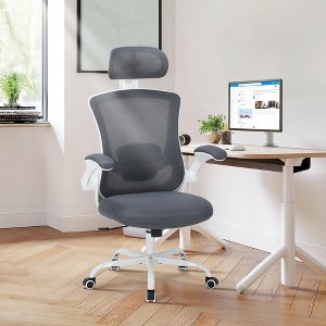 COLAMY Mesh Office Desk Chair, High Back Executive Desk Chair with Lumbar Support - 1 of 4