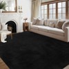 Area Rug Large Fluffy Shag Rugs for Living Room Non Slip Machine Washable Rugs for Bedroom Ultra-Soft Plush Shaggy Carpet for Nursery Office - 2 of 4