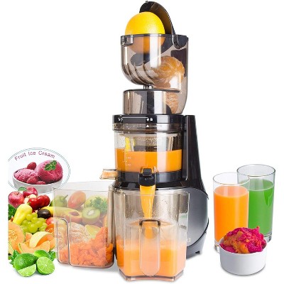 HDZNVF Stainless Steel Slow Masticating Juicer
