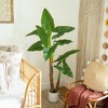 Nearly Natural 5.5-ft Artificial Arrowhead Philodendron in White Decorative Planter - 4 of 4
