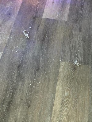 Guest review image 1 of 4, zoom in