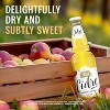 Stella Artois Cidre European Style Cider - 6pk/12 fl oz Bottles - 2 of 4