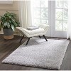 Nourison Malibu Shag Area Rug - 2 of 4