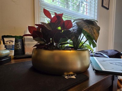 Guest review image 2 of 3, zoom in