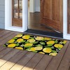 Briarwood Lane Summer Coir Doormat 30x18 Lemons For Summer Coir Doormat - 2 of 3