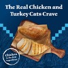 Blue Buffalo Wilderness Wild Delights High Protein Grain Free Natural Adult Flaked Wet Cat Food with Chicken & Turkey - 5.5oz - 3 of 4