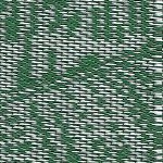 green and white