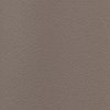 desert taupe