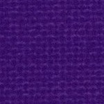 washington huskies