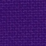 washington huskies