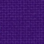 washington huskies