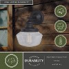VAXCEL Collins 1 Light Black Farmhouse Outdoor Wall Lantern Clear Schoolhouse Glass - 2 of 4