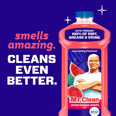 Mr. Clean Watermelon All-Purpose Floor Cleaning Liquid - 41 fl oz