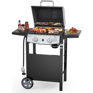 ZAFRO 2-Burner Propane Gas BBQ Grill, 20,000 BTU Stainless Steel Grill ...