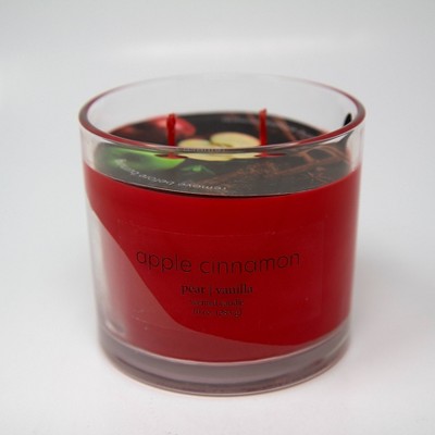 10oz Glass Jar 2-Wick Apple Cinnamon Candle - Room Essentials™