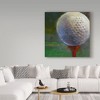 Trademark Fine Art -Hall Groat Ii 'Golf Ball Centered' Canvas Art - 3 of 3