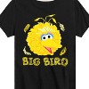 Boys' - Sesame Street - Big Bird Face Short Sleeve Graphic T-Shirt - 2 of 4