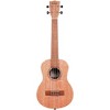 Kala KA-20T Tenor Ukulele - 3 of 4