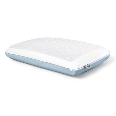 Standard Duo Chill Memory Foam Bed Pillow - Sealy