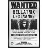 Trends International The Wizarding World: Harry Potter - Bellatrix Wanted Poster Framed Wall Poster Prints