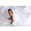 Okak All Size Cotton Down Diamond Quilting Alternative Featherless Bed Comforter,Comfortable Silky Soft Quilt Bedding for Cold Weather - 4 of 4