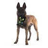 BARK Afraid of the Bark Halloween CAT Scan Kitty Animal Plush Dog Toy - 4 of 4