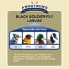 Armstrong Wild Bird Food Black Soldier Fly Larvae, 4lbs - 2 of 4