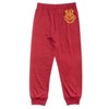 Harry Potter Pajama Shirt and Pants Sleep Set Little Kid to Big Kid - 3 of 4