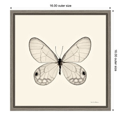 Amanti Art Butterfly I BW Crop by Debra Van Swearingen Canvas Wall Art Print Framed 16-in. x 16-in.