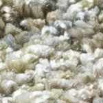 lightgray, lightbeige, lightolive, olive, gray, deepteal