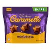 Hershey's Cadbury Caramello Candy Share Size Bag - 8oz - image 2 of 4