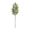 Melrose Pine Spray (Set of 2) - 2 of 3