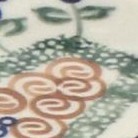 aztec flower