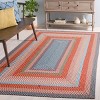Braided BRA270  Machine Washable UV Resistant Stain Resistant Non-Shedding Hand Woven Indoor/Outdoor Rugs - Safavieh - 2 of 4