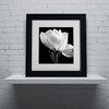 Trademark Fine Art - Michael Harrison 'Gardenia' Matted Framed Art - 3 of 3