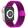 Waloo Magnetic Mesh Band For Apple Watch Series 10/9/8/7/6/5/4/3/2/1/SE/Ultra - 2 of 3