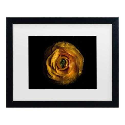 Trademark Fine Art - Brian Carson Backyard Flowers 72 Matted Framed Art ...