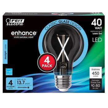 Feit Electric A19 E26 (Medium) Filament LED Bulb Daylight 40 Watt Equivalence 4 pk