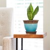 Southern Patio Cadiz 8 Inch Diameter Crackled Glazed Ceramic Indoor Outdoor Garden Planter Pot Urn with Saucer for Flowers, Herbs, and Plants, Teal - 3 of 4
