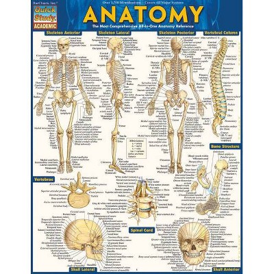 Anatomy - Reference Guide (8.5 X 11) - by  Vincent Perez (Poster)