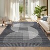 Machine Washable Area Rugs Modern Abstract Indoor Mat Non Shedding Neutral Throw Rugs Foldable Geometric Strip Thin Floor Cover for Living Room - 2 of 4