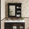 Yukimo 28.74"H Black Wall Mounted Medicine Cabinet with Mirror, Over the Toilet Storage Organizer, Adjustable Shelves, Soft-Close Door - 4 of 4